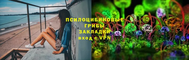 Псилоцибиновые грибы мицелий  Калязин 