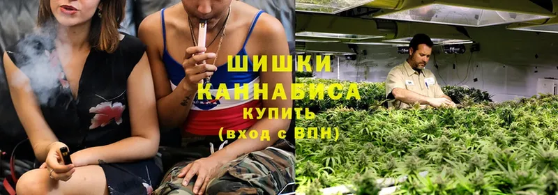 сколько стоит  Калязин  Марихуана SATIVA & INDICA 